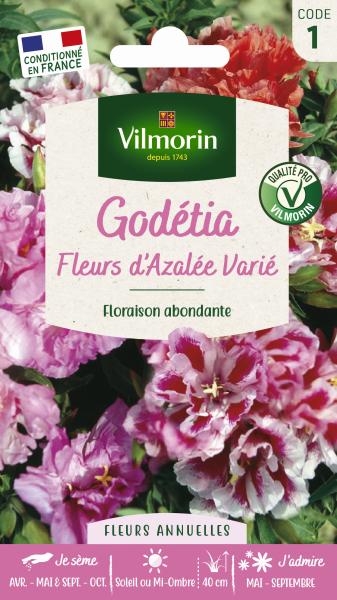Fleurs - Godétia Fleurs d'Azalée Varié - PACKAGING_RECTO